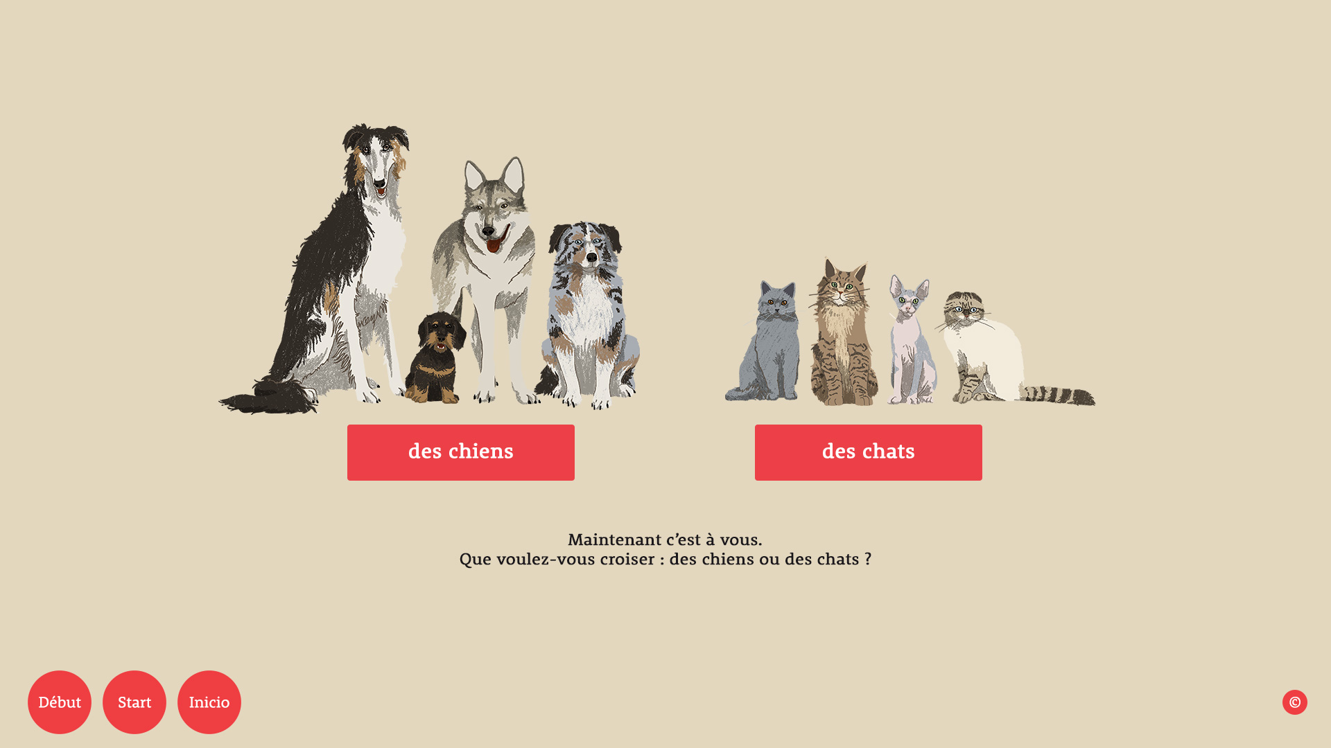 Chiens & Chats l'EXPO